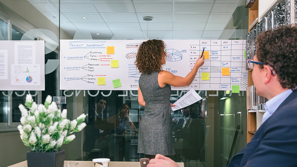 Project governance and milestone management boards